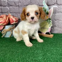 processed/bc898c35-4b8a-465c-8f50-36fe756c1b3d/facility/52aac43f-76ac-46eb-8395-207d3a6dbb23