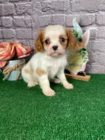 processed/bc898c35-4b8a-465c-8f50-36fe756c1b3d/facility/52aac43f-76ac-46eb-8395-207d3a6dbb23