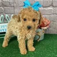 processed/bc898c35-4b8a-465c-8f50-36fe756c1b3d/facility/89ab810c-f96d-4ffa-8fdb-d206e78e414d