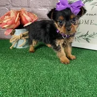 processed/bc898c35-4b8a-465c-8f50-36fe756c1b3d/facility/aef6ae51-1b39-4f02-a966-28282ea1ef02