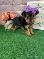 processed/bc898c35-4b8a-465c-8f50-36fe756c1b3d/facility/aef6ae51-1b39-4f02-a966-28282ea1ef02