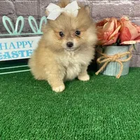 processed/bc898c35-4b8a-465c-8f50-36fe756c1b3d/facility/ce24d249-32ce-496a-9092-9ad8c82f02ed