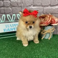 processed/bc898c35-4b8a-465c-8f50-36fe756c1b3d/facility/d975ed5c-2d64-4c8e-b0a8-2561629de551