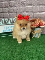 processed/bc898c35-4b8a-465c-8f50-36fe756c1b3d/facility/d975ed5c-2d64-4c8e-b0a8-2561629de551