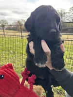 processed/bc898c35-4b8a-465c-8f50-36fe756c1b3d/listing/be208301-64c0-4e14-8f07-bf2f4e70e392/3a51b07e-0835-47e2-b152-c2dcf2b8b36f