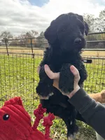 processed/bc898c35-4b8a-465c-8f50-36fe756c1b3d/listing/be208301-64c0-4e14-8f07-bf2f4e70e392/8867fa6e-97d8-46c5-b438-d303ef586f05