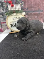 processed/bc898c35-4b8a-465c-8f50-36fe756c1b3d/listing/be208301-64c0-4e14-8f07-bf2f4e70e392/88c53d85-9360-4c48-91ae-e054bbd1acc3