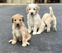 processed/bc96bb51-cd8c-46aa-b117-6504a5a18f48/facility/1e0b209d-cf5d-4151-af11-48cc2710152d