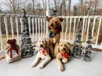 processed/bc96bb51-cd8c-46aa-b117-6504a5a18f48/facility/3488895a-225d-4bbb-8dfb-49eea0a2e23d