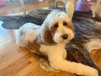 processed/bc96bb51-cd8c-46aa-b117-6504a5a18f48/facility/5ff0cb56-6597-46f8-b4cc-39dd88b9a639