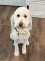 processed/bc96bb51-cd8c-46aa-b117-6504a5a18f48/facility/aee80ec7-046b-4152-856a-9a6a639f6fdc