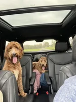 processed/bc96bb51-cd8c-46aa-b117-6504a5a18f48/facility/c98c54be-e140-4457-a204-847f1952000c