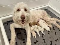 processed/bc96bb51-cd8c-46aa-b117-6504a5a18f48/facility/cfe07f29-2804-4a43-b2de-ec94b14d9cb0