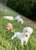 processed/bc96bb51-cd8c-46aa-b117-6504a5a18f48/facility/f25cd60d-3d12-4efd-abb5-6466c463516d