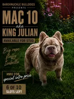 King Julian - Stud Service, a male French Bulldog for sale in Hayden, ID – 1 of 8