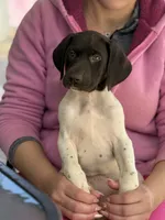 processed/bc9a5f0e-5e4f-497e-b4db-95f2e05c70c2/listing/0752ba8e-eb25-4dcc-b736-ed325b39c1b1/8e7e930e-36df-4f1b-9591-28a9e03551b7