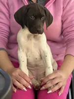 processed/bc9a5f0e-5e4f-497e-b4db-95f2e05c70c2/listing/0752ba8e-eb25-4dcc-b736-ed325b39c1b1/9c27bd9a-d5fe-4bc3-b045-5ff38af29f5a