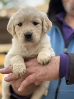 processed/bc9a5f0e-5e4f-497e-b4db-95f2e05c70c2/listing/60955696-ac8d-4886-8df5-61c6bd90be08/6762ef81-d196-466e-b1ac-0c2e2108a017