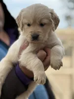 processed/bc9a5f0e-5e4f-497e-b4db-95f2e05c70c2/listing/60955696-ac8d-4886-8df5-61c6bd90be08/c73fc161-db3f-4340-a75a-8b8a56d59288