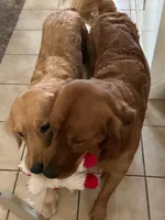 processed/bc9c273f-6a03-4e2d-ad01-bcfaca26ec5f/facility/05410dcd-f9ba-46ee-8fe7-c5528c0954be