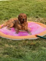 processed/bc9c273f-6a03-4e2d-ad01-bcfaca26ec5f/facility/2b89c8ae-00f1-44ab-8318-3d5125492b38