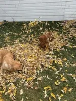 processed/bc9c273f-6a03-4e2d-ad01-bcfaca26ec5f/facility/35cb238d-49f6-4421-91c9-c58b38b73f6f