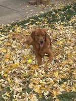 processed/bc9c273f-6a03-4e2d-ad01-bcfaca26ec5f/facility/8d404e9c-5947-4b4e-a47f-4714907e5a72