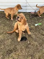 processed/bc9c273f-6a03-4e2d-ad01-bcfaca26ec5f/facility/c1dc48fc-2727-478c-80c0-b19a7372a46c