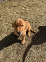 processed/bc9c273f-6a03-4e2d-ad01-bcfaca26ec5f/facility/c7f62d15-be04-4a2d-9f29-86862ea80fe6