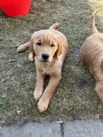 processed/bc9c273f-6a03-4e2d-ad01-bcfaca26ec5f/facility/d186f259-04b3-451b-ba2c-346633e092bb