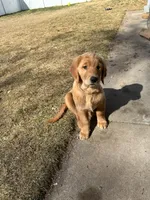 processed/bc9c273f-6a03-4e2d-ad01-bcfaca26ec5f/facility/e5ee9034-feae-49f8-98c0-9a724fc56358