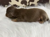 processed/bca222fa-04e3-4581-847f-a1427fc7bdf3/listing/42cdbbfc-6330-405c-aafd-c452504f619c/81144b73-c236-4615-8b29-2a8c44fea88e