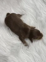 processed/bca222fa-04e3-4581-847f-a1427fc7bdf3/listing/42cdbbfc-6330-405c-aafd-c452504f619c/9b8297ca-dc95-4d33-b49d-b9ba7ee6368b