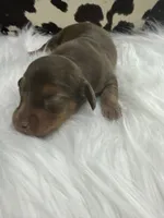 processed/bca222fa-04e3-4581-847f-a1427fc7bdf3/listing/42cdbbfc-6330-405c-aafd-c452504f619c/a11dfef4-4ad1-44ff-9f93-93d9ff0936da