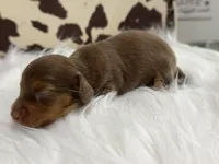 processed/bca222fa-04e3-4581-847f-a1427fc7bdf3/listing/42cdbbfc-6330-405c-aafd-c452504f619c/e55ff62d-2f1a-4a79-b5a4-9903052953f7