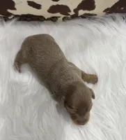 processed/bca222fa-04e3-4581-847f-a1427fc7bdf3/listing/7c535691-cc75-4e39-98e3-7d374ba334fa/3c1c41ad-a908-4b1a-be4e-91defd3ae06d