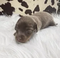 processed/bca222fa-04e3-4581-847f-a1427fc7bdf3/listing/7c535691-cc75-4e39-98e3-7d374ba334fa/6d47a75c-7929-4d44-b623-50b781daa5c2