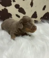 processed/bca222fa-04e3-4581-847f-a1427fc7bdf3/listing/7c535691-cc75-4e39-98e3-7d374ba334fa/8913597c-286f-450c-93eb-26230f8feff7