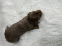 processed/bca222fa-04e3-4581-847f-a1427fc7bdf3/listing/97bf0915-985f-407e-9065-8141597b840c/729e943d-154f-4a99-8f48-76ba1d3fb360