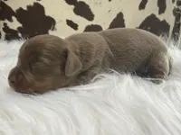 processed/bca222fa-04e3-4581-847f-a1427fc7bdf3/listing/97bf0915-985f-407e-9065-8141597b840c/7d1f70a8-2d98-4adb-84bf-0d3da6cb429d