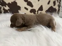 processed/bca222fa-04e3-4581-847f-a1427fc7bdf3/listing/97bf0915-985f-407e-9065-8141597b840c/882b9876-53d1-4226-b1b3-b9f5e296e657