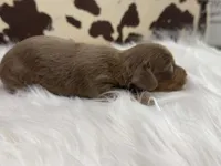 processed/bca222fa-04e3-4581-847f-a1427fc7bdf3/listing/97bf0915-985f-407e-9065-8141597b840c/b564b812-f138-41c7-8233-35db355c0b67