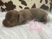 processed/bca222fa-04e3-4581-847f-a1427fc7bdf3/listing/97bf0915-985f-407e-9065-8141597b840c/cd230100-eed1-46d1-8014-8a39a0acc8d6