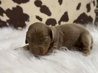 processed/bca222fa-04e3-4581-847f-a1427fc7bdf3/listing/97bf0915-985f-407e-9065-8141597b840c/ce4eaa33-1bfa-4011-9372-e4a84c36eae7