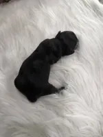 processed/bca222fa-04e3-4581-847f-a1427fc7bdf3/listing/bfcc8cc3-f458-48d8-aa77-828213d069cc/49987169-5127-4803-b2eb-8a4df44237ec