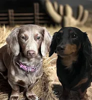 processed/bca222fa-04e3-4581-847f-a1427fc7bdf3/listing/bfcc8cc3-f458-48d8-aa77-828213d069cc/715b4143-5c93-4190-91e6-d26c2f1fa10a