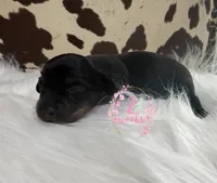 processed/bca222fa-04e3-4581-847f-a1427fc7bdf3/listing/bfcc8cc3-f458-48d8-aa77-828213d069cc/92dd2090-862b-4ba4-ada7-2c4f80bb3f3b