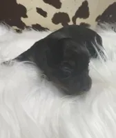 processed/bca222fa-04e3-4581-847f-a1427fc7bdf3/listing/bfcc8cc3-f458-48d8-aa77-828213d069cc/d427e33a-ed98-4a90-be15-ddf3cce22b17