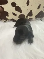 processed/bca222fa-04e3-4581-847f-a1427fc7bdf3/listing/bfcc8cc3-f458-48d8-aa77-828213d069cc/f32bea98-dcea-42c3-bf07-6d99a03e7aed