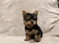 processed/bca54713-a891-4199-bda2-e2b397b4ef7d/listing/17c47ef5-d965-43cb-b453-c59d90181fdf/3691641f-92c0-402c-8278-1e4cddbc2a47